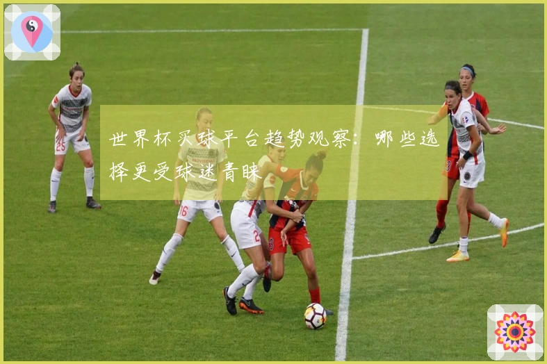 世界杯买球平台趋势观察：哪些选择更受球迷青睐
