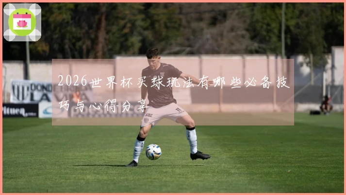 2026世界杯买球玩法有哪些必备技巧与心得分享