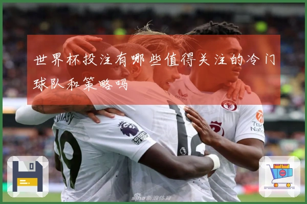 世界杯投注有哪些值得关注的冷门球队和策略吗
