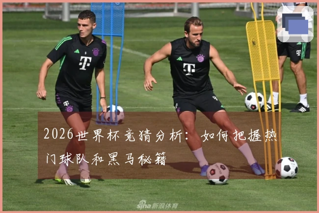 2026世界杯竞猜分析：如何把握热门球队和黑马秘籍