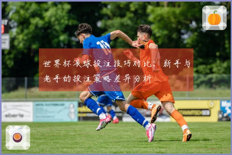世界杯滚球投注技巧对比：新手与老手的投注策略差异分析