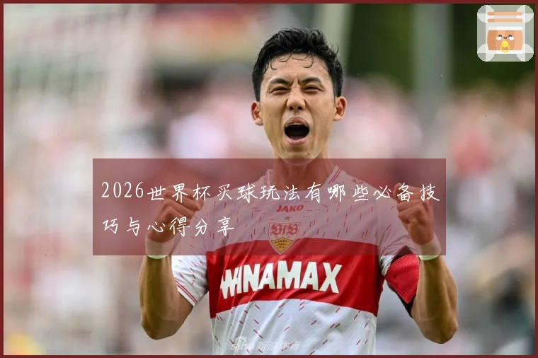 2026世界杯买球玩法有哪些必备技巧与心得分享