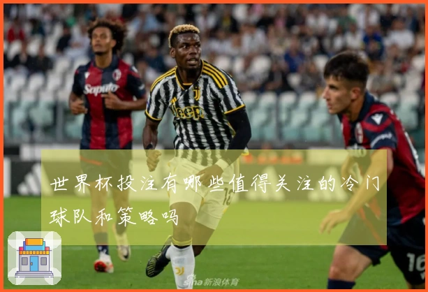 世界杯投注有哪些值得关注的冷门球队和策略吗